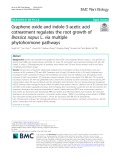 Graphene oxide and indole-3-acetic acid cotreatment regulates the root growth of Brassica napus L. via multiple phytohormone pathways