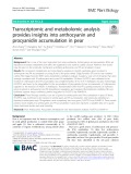 Transcriptomic and metabolomic analysis provides insights into anthocyanin and procyanidin accumulation in pear