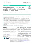 Potential function of CbuSPL and gene encoding its interacting protein during flowering in Catalpa bungei
