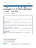 A simple method for semi-random DNA amplicon fragmentation using the methylation-dependent restriction enzyme MspJI