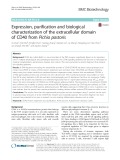 Expression, purification and biological characterization of the extracellular domain of CD40 from Pichia pastoris