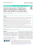 Genome-wide analysis of RopGEF gene family to identify genes contributing to pollen tube growth in rice (Oryza sativa)