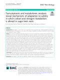 Transcriptomic and metabolomic analyses reveal mechanisms of adaptation to salinity in which carbon and nitrogen metabolism is altered in sugar beet roots
