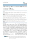 Cold shock induction of recombinant Arctic environmental genes