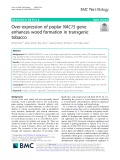 Over-expression of poplar NAC15 gene enhances wood formation in transgenic tobacco