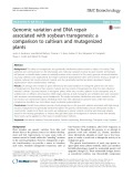 Genomic variation and DNA repair associated with soybean transgenesis: A comparison to cultivars and mutagenized plants