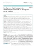 Development of phytase-expressing chlamydomonas reinhardtii for monogastric animal nutrition