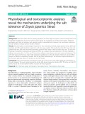 Physiological and transcriptomic analyses reveal the mechanisms underlying the salt tolerance of Zoysia japonica Steud