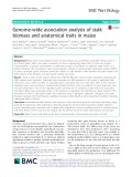 Genome-wide association analysis of stalk biomass and anatomical traits in maize