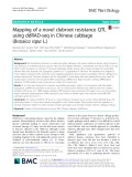 Mapping of a novel clubroot resistance QTL using ddRAD-seq in Chinese cabbage (Brassica rapa L.)