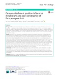 Canopy attachment position influences metabolism and peel constituency of European pear fruit