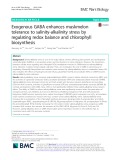 Exogenous GABA enhances muskmelon tolerance to salinity-alkalinity stress by regulating redox balance and chlorophyll biosynthesis