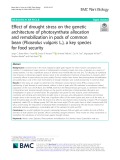 Effect of drought stress on the genetic architecture of photosynthate allocation and remobilization in pods of common bean (Phaseolus vulgaris L.), a key species for food security