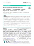 PbrSLAH3 is a nitrate-selective anion channel which is modulated by calciumdependent protein kinase 32 in pear