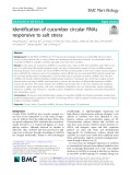 Identification of cucumber circular RNAs responsive to salt stress