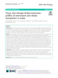 Tissue and nitrogen-linked expression profiles of ammonium and nitrate transporters in maize