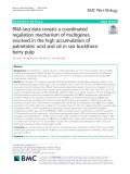 RNA-seq data reveals a coordinated regulation mechanism of multigenes involved in the high accumulation of palmitoleic acid and oil in sea buckthorn berry pulp