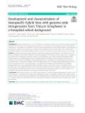 Development and characterisation of interspecific hybrid lines with genome-wide introgressions from Triticum timopheevii in a hexaploid wheat background