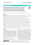 Characterization of phytohormone and transcriptome reprogramming profiles during maize early kernel development