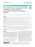 Plant trichomes and a single gene GLABRA1 contribute to insect community composition on field-grown Arabidopsis thaliana