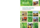 Conservation agriculture training guide for extension agents and farmers in eastern Europe and central Asia