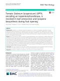 Tomato (Solanum lycopersicum) SlIPT4, encoding an isopentenyltransferase, is involved in leaf senescence and lycopene biosynthesis during fruit ripening