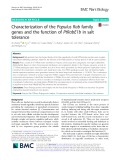 Characterization of the Populus Rab family genes and the function of PtRabE1b in salt tolerance