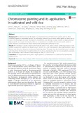 Chromosome painting and its applications in cultivated and wild rice