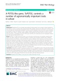 A PSTOL-like gene, TaPSTOL, controls a number of agronomically important traits in wheat