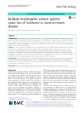 Multiple morphogenic culture systems cause loss of resistance to cassava mosaic disease