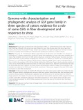 Genome-wide characterization and phylogenetic analysis of GSK gene family in three species of cotton: evidence for a role of some GSKs in fiber development and responses to stress