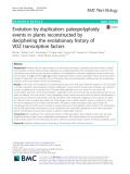 Evolution by duplication: Paleopolyploidy events in plants reconstructed by deciphering the evolutionary history of VOZ transcription factors