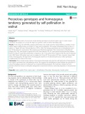 Precocious genotypes and homozygous tendency generated by self-pollination in walnut