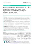 Molecular mechanism of the extended oil accumulation phase contributing to the high seed oil content for the genotype of tung tree (Vernicia fordii)
