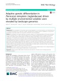 Adaptive genetic differentiation in Pterocarya stenoptera (Juglandaceae) driven by multiple environmental variables were revealed by landscape genomics