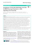 Arabidopsis ETHYLENE RESPONSE FACTOR 8 (ERF8) has dual functions in ABA signaling and immunity