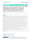 Responses of reactive oxygen species and methylglyoxal metabolisms to magnesiumdeficiency differ greatly among the roots, upper and lower leaves of Citrus sinensis