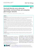 Structural diversity across arbuscular mycorrhizal, ectomycorrhizal, and endophytic plant–fungus networks
