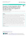 Disruption of ureide degradation affects plant growth and development during and after transition from vegetative to reproductive stages