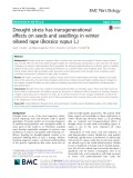 Drought stress has transgenerational effects on seeds and seedlings in winter oilseed rape (Brassica napus L.)