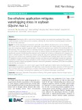 Exo-ethylene application mitigates waterlogging stress in soybean (Glycine max L.)
