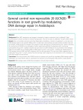 General control non-repressible 20 (GCN20) functions in root growth by modulating DNA damage repair in Arabidopsis