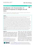 Identification and characterization of GmMYB118 responses to drought and salt stress