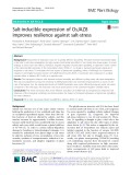 Salt-inducible expression of OsJAZ8 improves resilience against salt-stress