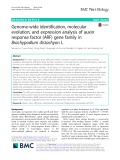 Genome-wide identification, molecular evolution, and expression analysis of auxin response factor (ARF) gene family in Brachypodium distachyon L