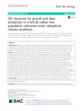 QTL detection for growth and latex production in a full-sib rubber tree population cultivated under suboptimal climate conditions