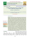 Evaluation of zinnia (Zinnia elegans L.) genotypes under West Garo Hills district, Meghalaya, India