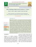 Effect of mulching in brinjal (Solanum melongena L.): A review