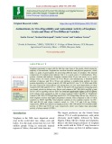 Antinutrients, in vitro digestibility and antioxidant activity of sorghum grain and flour of two different varieties