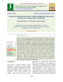 Strategy for ensuring food security in India: Bridging the link between food security and agriculture development